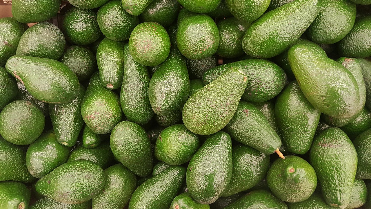 avocado, fruit, vegetarian, the fruit, avocado, avocado, avocado, avocado, avocado