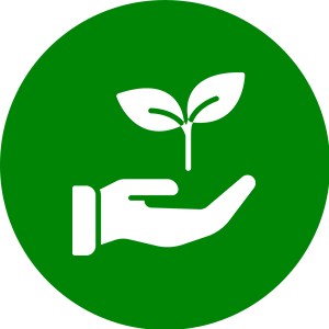 icon 8.png